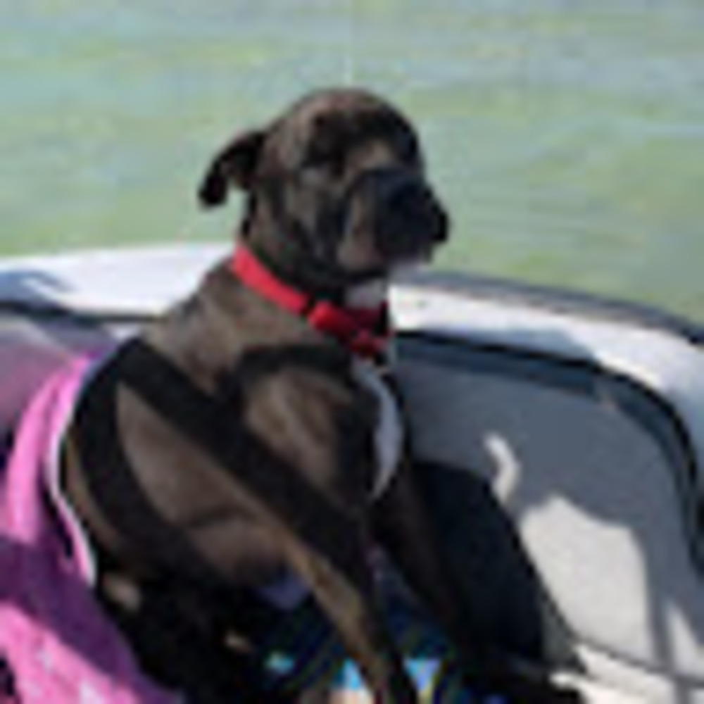 Meet your Posher, Taylor